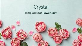  Presentation with border pink - Cool new PPT layouts with bl - flat lay decorative border backdrop and a sky blue colored foreground