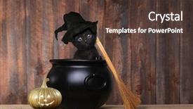  Presentation with kitten - Colorful presentation theme enhanced with black - cute kitten dressed backdrop and a tawny brown colored foreground