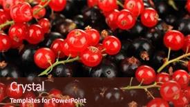  Presentation with currant - Audience pleasing theme consisting of black and red currant close up backdrop and a tawny brown colored foreground