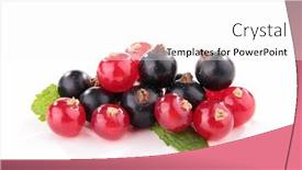  Presentation with currant - Beautiful presentation theme featuring black and red currant backdrop and a white colored foreground