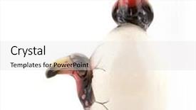  Presentation with egg - PPT theme with dodo - black and red toucans background and a light gray colored foreground