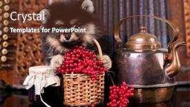 Presentation with tan - Amazing PPT theme having black-and-tan-spitz-pomeranian backdrop and a tawny brown colored foreground