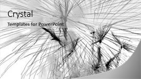  Presentation with splashing - Presentation theme enhanced with empty room with stack of cartons moving house concept background and a coral colored foreground