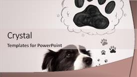  Presentation with paw - Slide deck consisting of black and white border collie background and a lemonade colored foreground