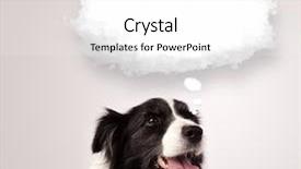  Presentation with border - PPT layouts with day lettering with rose petals background and a lemonade colored foreground