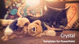  Presentation with black bear - PPT layouts having cat sleeping in the sun background and a red colored foreground