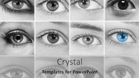  Presentation with photo collage - Cool new PPT layouts with black-and-white-collage-photo backdrop and a light gray colored foreground