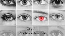  Presentation with photo collage - Theme enhanced with black-and-white-collage-photo background and a light gray colored foreground