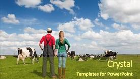  Presentation with cow milk - Presentation consisting of black and white cow background and a tawny brown colored foreground