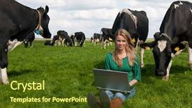  Presentation with cow milk - Amazing theme having black and white cow backdrop and a tawny brown colored foreground