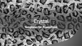  Presentation with black - Presentation consisting of black and white leopard print background and a dark gray colored foreground