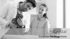  Presentation with veterinary - Audience pleasing PPT theme consisting of teeth on bed at veterinary backdrop and a light gray colored foreground