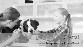  Presentation with veterinary - Audience pleasing presentation consisting of black and white photo of young veterinary doctor looking through otoscope equipment in dog's ear backdrop and a light gray colored foreground