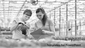  Presentation with nursery plant - Amazing PPT theme having black and white photo of a confident female botanists discussing over seedlings in plant nursery backdrop and a light gray colored foreground