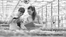  Presentation with nursery plant - Cool new PPT theme with black and white photo of a confident female botanists discussing over seedlings in plant nursery backdrop and a light gray colored foreground