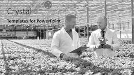  Presentation with nursery plant - Presentation design with black and white photo of two male botanist examining herbs while writing on clipboard in plant nursery background and a light gray colored foreground