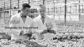  Presentation with nursery plant - Colorful presentation theme enhanced with black and white photo of two male botanist examining herbs while writing on clipboard in plant nursery backdrop and a light gray colored foreground