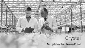 Presentation with nursery plant - Cool new presentation design with black and white photo of two male botanist examining herbs while writing on clipboard in plant nursery backdrop and a light gray colored foreground