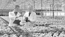  Presentation with nursery plant - Amazing presentation having black and white photo of two male botanist examining herbs while writing on clipboard in plant nursery backdrop and a light gray colored foreground