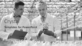  Presentation with nursery plant - Presentation theme consisting of black and white photo of two male botanist examining herbs while writing on clipboard in plant nursery background and a light gray colored foreground