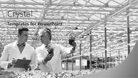  Presentation with nursery plant - Colorful presentation design enhanced with black and white photo of two male botanist examining herbs while writing on clipboard in plant nursery backdrop and a light gray colored foreground