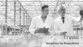  Presentation with nursery plant - PPT theme having black and white photo of two male botanist examining herbs while writing on clipboard in plant nursery background and a light gray colored foreground