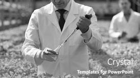  Presentation with chemical plant - Beautiful PPT theme featuring black and white photo of mature male biochemist pouring chemical in test tube with pipette in plant nursery backdrop and a gray colored foreground