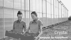  Presentation with black female - Amazing PPT theme having black and white photo of female farmer carrying tomatoes in crate backdrop and a gray colored foreground