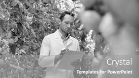  Presentation with crop - Beautiful presentation theme featuring black and white photo of crop scientist examining tomatoes growing while writing report on clipboard in greenhouse backdrop and a gray colored foreground
