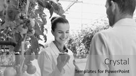  Presentation with female abstract black - Amazing slide set having black and white photo of female crop scientist showing tomato while male scientist writing report in greenhouse backdrop and a light gray colored foreground