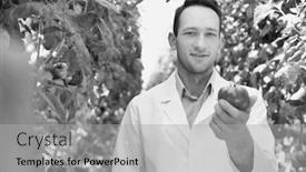  Presentation with crop - Colorful presentation enhanced with black and white photo of male crop scientist showing tomato in greenhouse backdrop and a light gray colored foreground