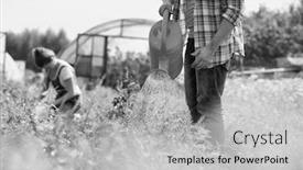  Presentation with plants growing - Audience pleasing presentation design consisting of black and white photo of male farmer watering plants growing in greenhouse backdrop and a light gray colored foreground