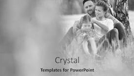  Presentation with black white tree - Slide set having black and white photo of lovely family sitting under the tree while having picnic background and a light gray colored foreground