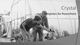  Presentation with goat farm - Presentation enhanced with farmers husband and wife tending background and a white colored foreground