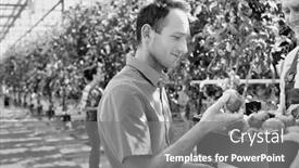  Presentation with greenhouse - Slides having black and white photo of senior farmer showing tomato while supervisor writing report in greenhouse background and a gray colored foreground