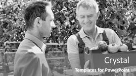 Presentation with greenhouse - Audience pleasing theme consisting of black and white photo of senior farmer showing tomato while supervisor writing report in greenhouse backdrop and a gray colored foreground