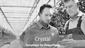  Presentation with greenhouse - Beautiful theme featuring black and white photo of senior farmer showing tomato while supervisor writing report in greenhouse backdrop and a gray colored foreground