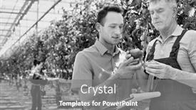  Presentation with greenhouse - Audience pleasing PPT layouts consisting of black-and-white-photo backdrop and a gray colored foreground