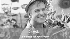  Presentation with sunflower sunflower sunflower sunflower sunflower - PPT theme having black and white photo of smiling mature farmer standing in sunflower field background and a gray colored foreground