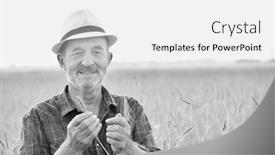  Presentation with crop - Slides featuring black and white photo of senior farmer showing and examining wheat crop in field background and a white colored foreground