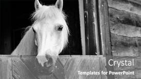  Presentation with white horse - Cool new theme with black-and-white-photo backdrop and a gray colored foreground