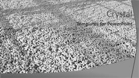  Presentation with photograph - Slide deck consisting of black and white photograph of organic herbs growing in a large industrial sized greenhouse background and a light gray colored foreground