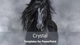  Presentation with white horse - Cool new PPT theme with black-and-white-portrait backdrop and a gray colored foreground