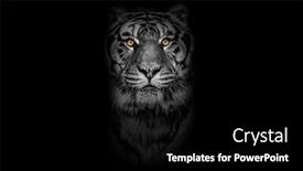  Presentation with black yellow - Presentation theme featuring black-and-white-portrait background and a black colored foreground