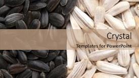  Presentation with sunflower sunflower sunflower sunflower sunflower - Amazing presentation theme having black and white sunflower seeds backdrop and a coral colored foreground