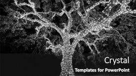  Presentation with black white tree - Audience pleasing theme consisting of black-and-white-view backdrop and a dark gray colored foreground