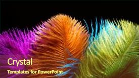  Presentation with rainbow peacock - Beautiful PPT theme featuring black background carnival rainbow backdrop and a tawny brown colored foreground