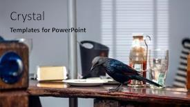  Presentation with restaurant - Presentation with black-bird-sitting background and a light gray colored foreground