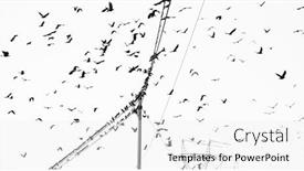  Presentation with birds flying - Colorful presentation design enhanced with black-birds-on-a-wire backdrop and a white colored foreground