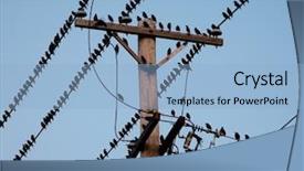  Presentation with cables wires electric wireing - Cool new PPT theme with black birds on electrical wires backdrop and a light blue colored foreground